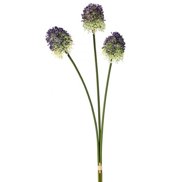 Purple Bullet Allium Flower Stems
